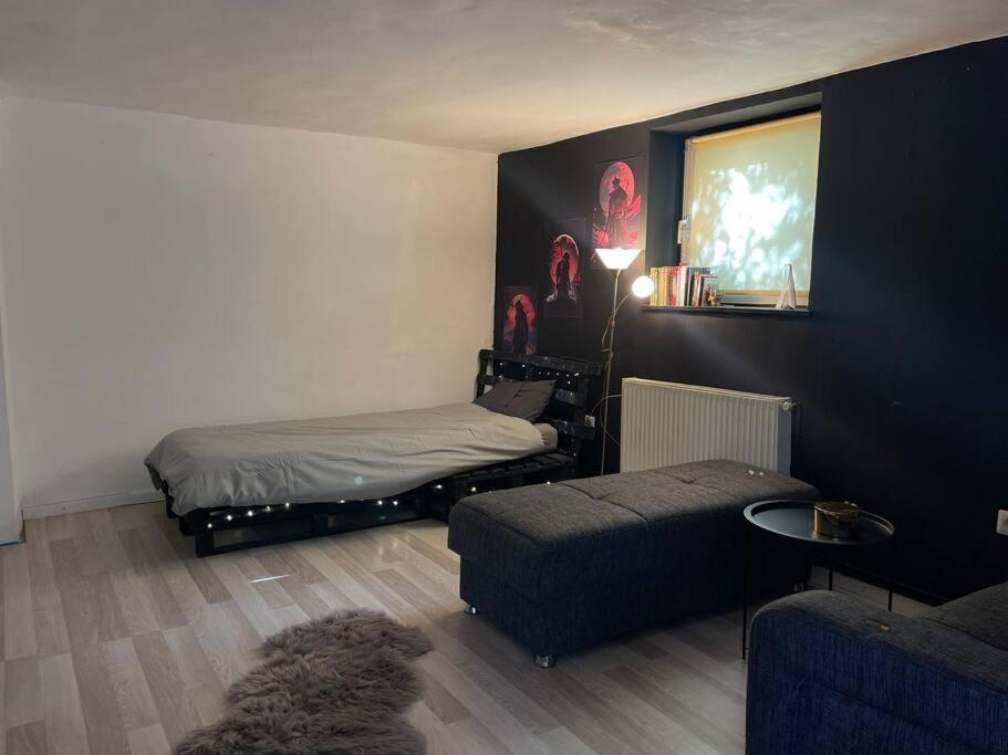 Pallet Bed With Lights Small Studio Cluj-Napoca Esterno foto